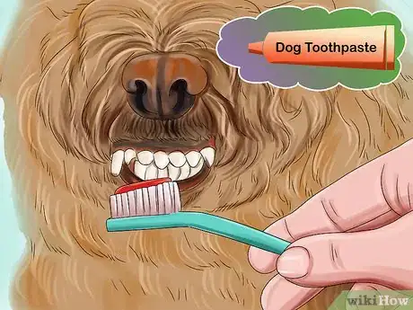 Image titled Groom a Goldendoodle Step 14