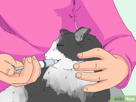 Image titled Handle Mothball Poisoning in Cats Step 14