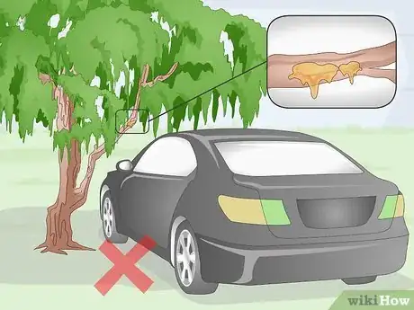 Image titled Protect Clear Coat Step 4