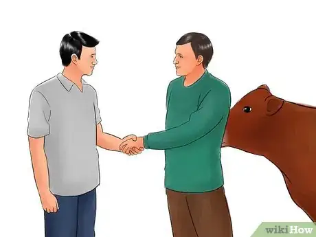 Image titled Identify Brown Swiss Cattle Step 4