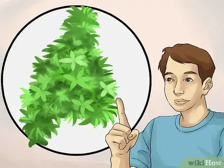 Image titled Create Tree Flower Beds Step 8