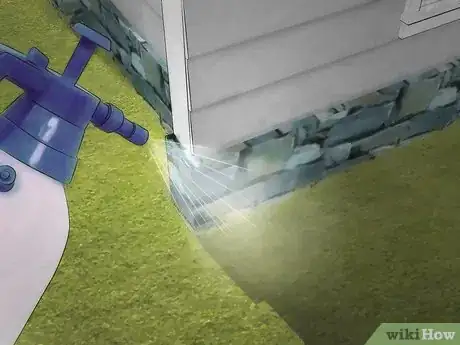 Image titled Get Rid of Boxelder Bugs Step 11