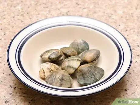 Image titled Shuck Clams Step 1