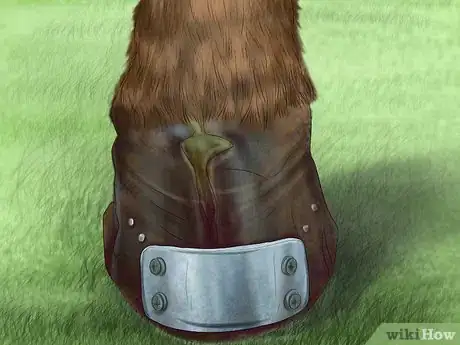 Image titled Maintain Good Hoof Care on Your Horse Step 12