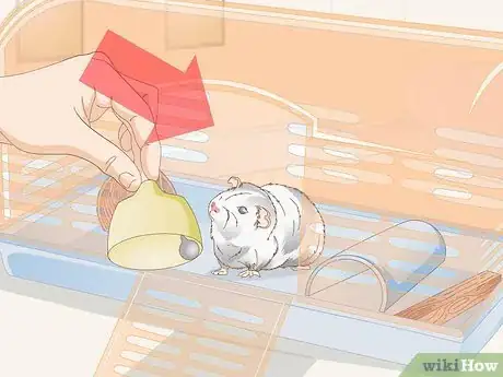 Image titled Choose Toys for a Guinea Pig Step 5