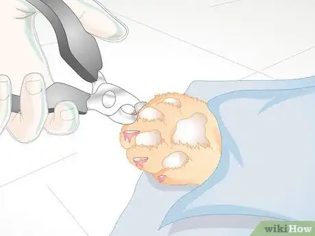 Image titled Find Alternatives to De Clawing Your Cat Step 9