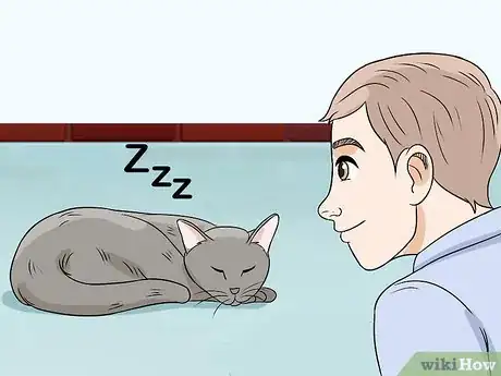 Image titled Deal with a Snoring Cat Step 1