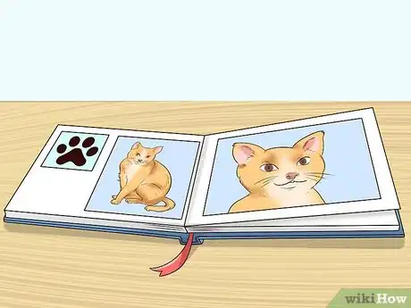 Image titled Help Kids Cope with the Death of Their Cat Step 13
