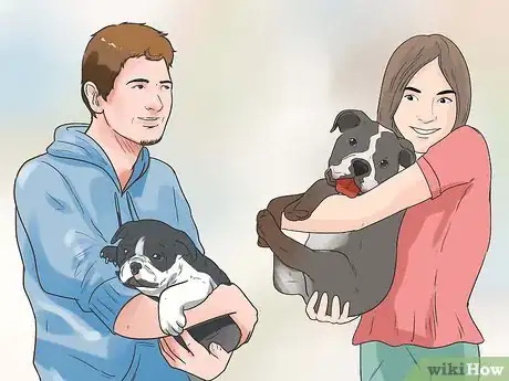 Image titled Care for Bulldogs Step 20