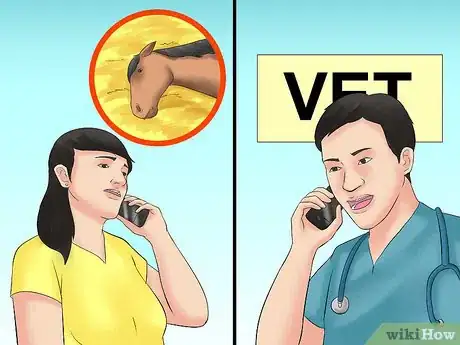 Image titled Avoid Poisoning Your Horse Step 12