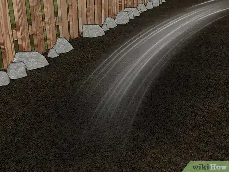 Image titled Grow African Daisy (Arctotis) Step 9