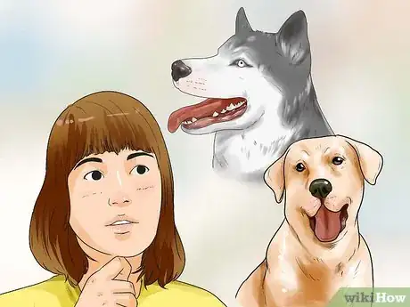 Image titled Get Your Dog Paid TV Appearances Step 11