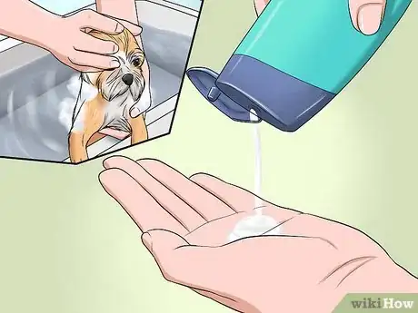 Image titled Bathe a Shih Tzu Puppy Step 10