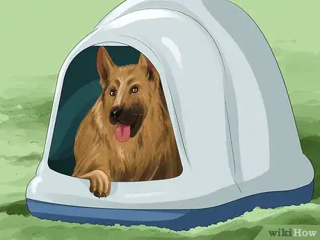 Image titled Keep Your Pets Safe in Winter Step 13
