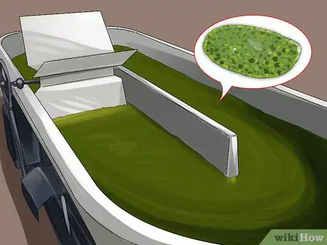 Image titled Grow Chlorella for a Food Supplement Step 1