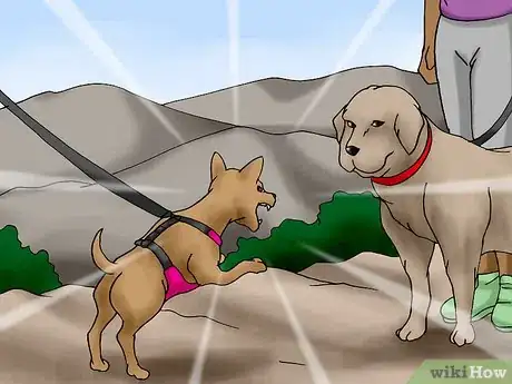 Image titled Hike with Your Hound Step 5