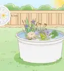 Grow a Container Garden