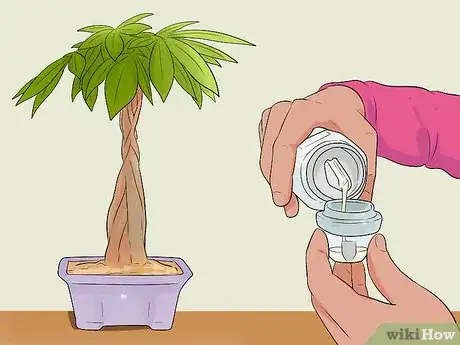 Image titled Care for a Money Tree Step 12