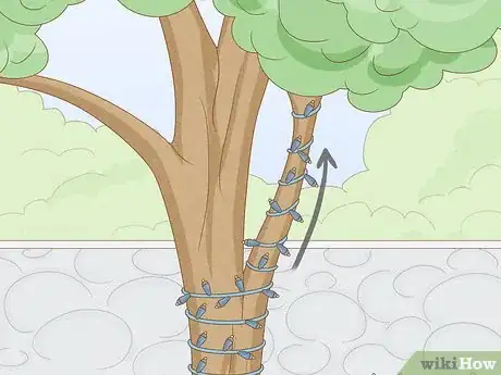 Image titled Decorate an Outdoor Tree Step 4
