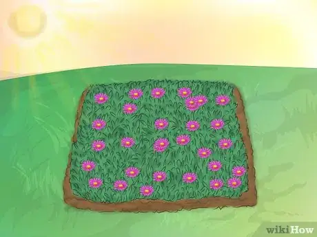 Image titled Grow Ice Plants Step 7