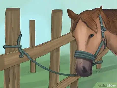 Image titled Tie up a Horse Step 10