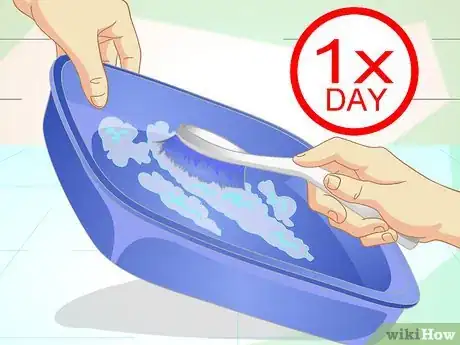 Image titled Keep Your Cat from Urinating Where It Shouldn't Step 1