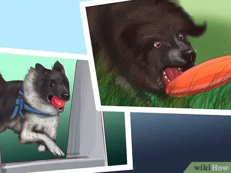 Image titled Give Your Large Dog Enough Exercise Step 9