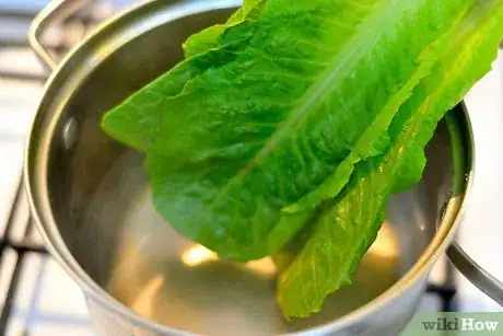 Image titled Use Kale in Sandwiches Step 12