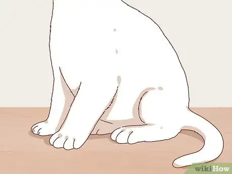 Image titled Choose the Right Kitten for Your Home Step 9