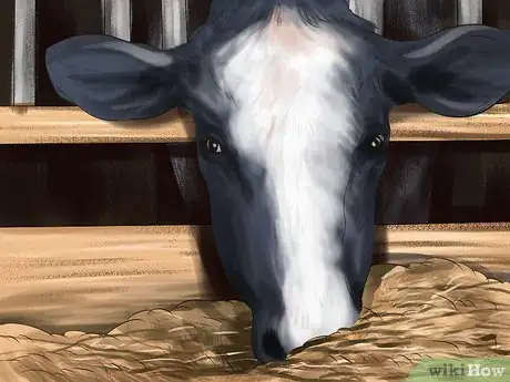 Image titled Give Cattle Hormones Step 16