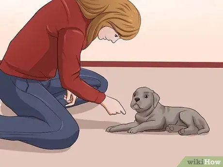 Image titled Teach Your Puppy to Lie Down Step 8