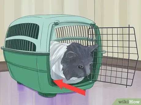 Image titled Capture an Angry or Upset Cat Step 15