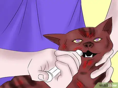 Image titled Help a Cat with Epileptic Seizures Step 6