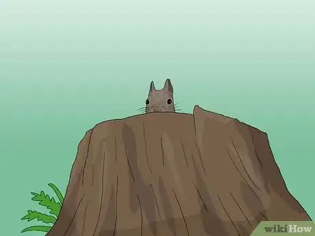 Image titled Attract Squirrels Step 11