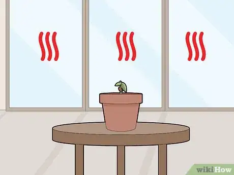 Image titled Grow Chocolate Indoors Step 9