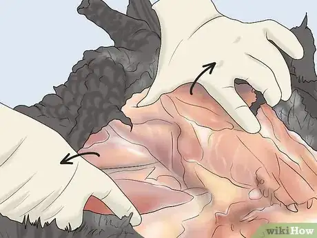 Image titled Dress a Turkey Step 12