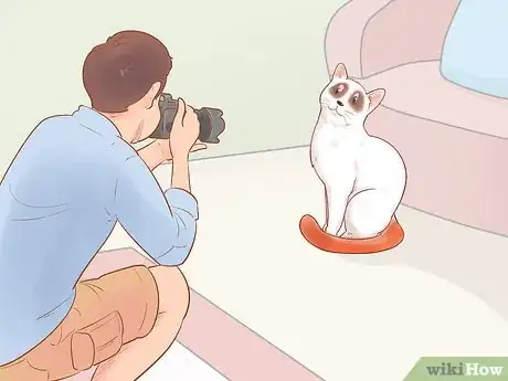 Image titled Take Action Photos of a Cat Step 9