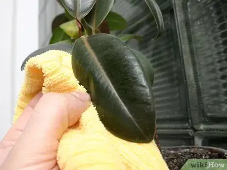 Image titled Prevent Bugs In Your Houseplants Step 3