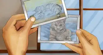 Photograph Your Cat's Symptoms for the Vet