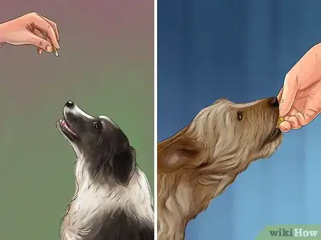 Image titled Introduce a New Dog in a Not Neutral Area Step 9