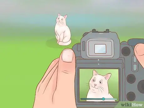 Image titled Take Action Photos of a Cat Step 14
