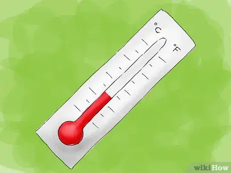 Image titled Grow Caladiums Step 01