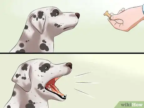 Image titled Teach Your Dog to Speak Step 4