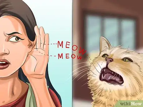 Image titled Tell if a Cat Has a Sore Throat Step 1