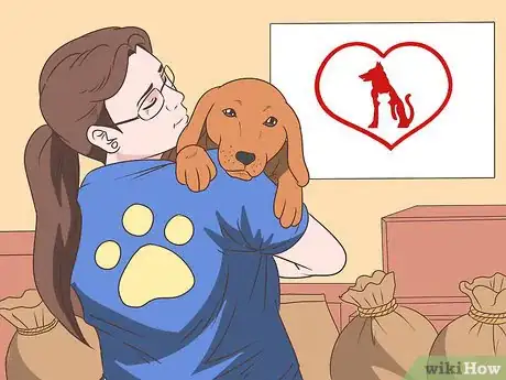 Image titled Help Save Animals from Abuse Step 1