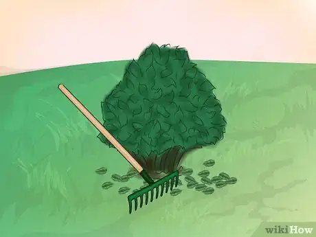 Image titled Get Rid of Downy Mildew in Your Plants Step 9