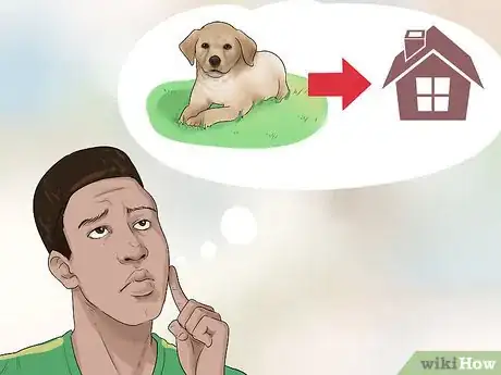 Image titled Buy a Labrador Retriever Puppy Step 2