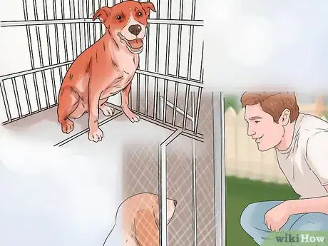 Image titled Choose a Dog That's Easy to Train Step 13