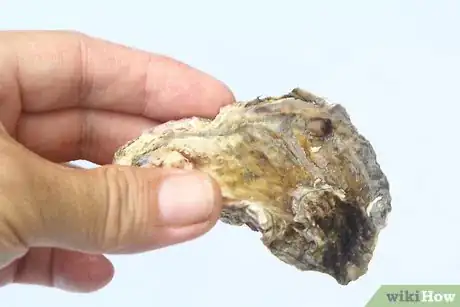 Image titled Fry Oysters Step 2