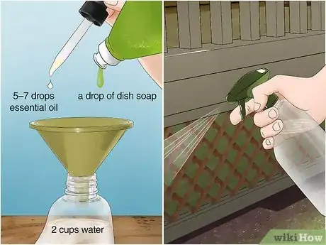 Image titled Keep False Widow Spiders Out of Your House Step 8